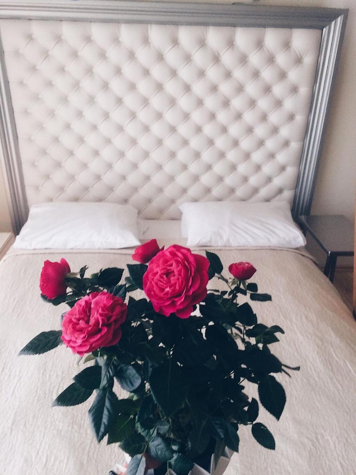 Jūrkalne Boutique Hotel Mama מראה חיצוני תמונה